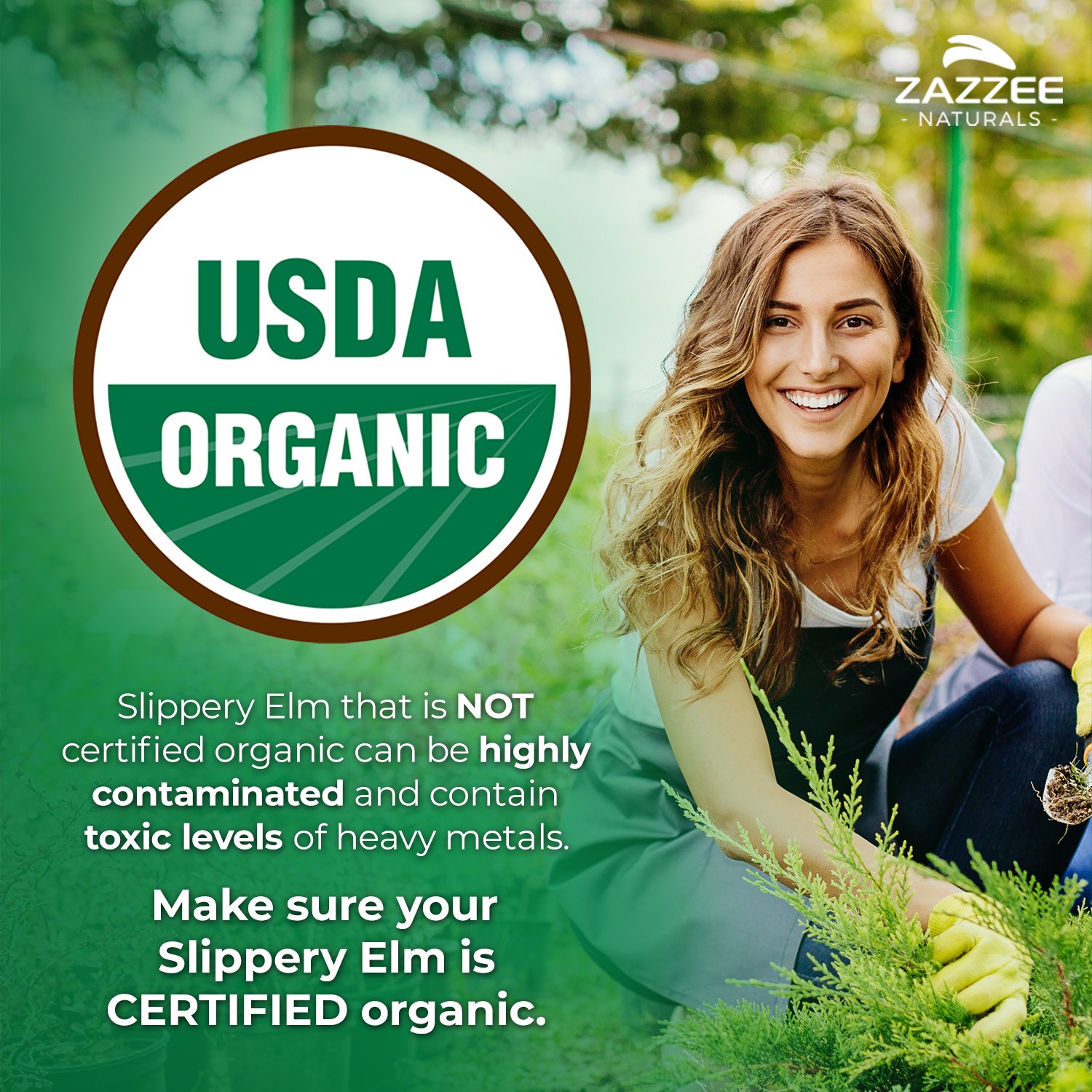 USDA Organic Slippery Elm Bark 20:1 Extract, 8000 mg Strength 120 Vegan Capsules