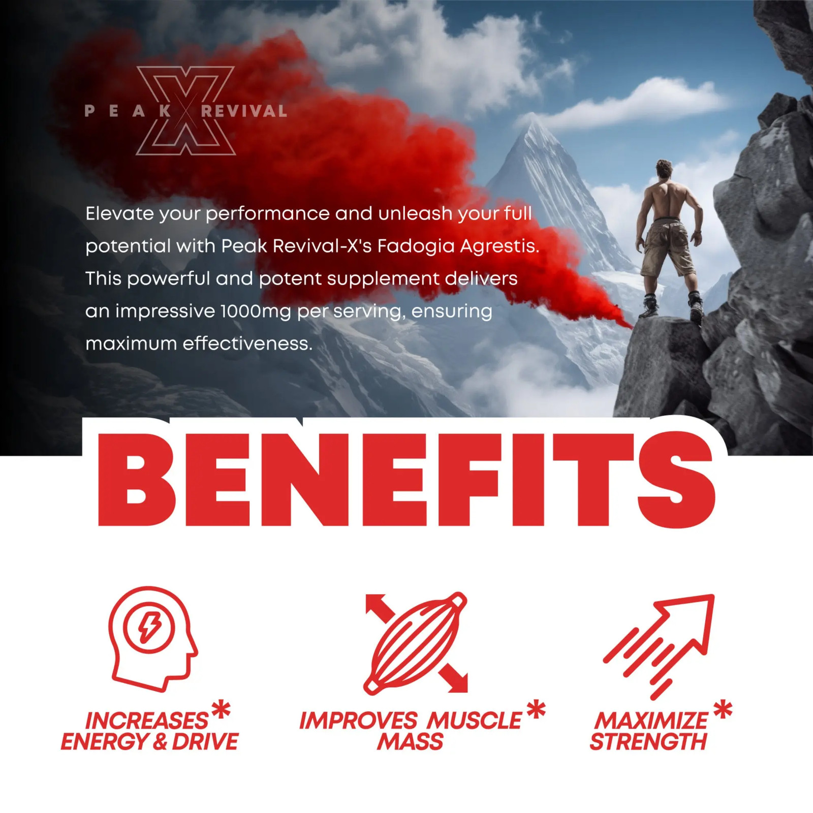 1000mg Fadogia Agrestis Extract Daily Wellness Supplement For Men’s HormoneSuppt