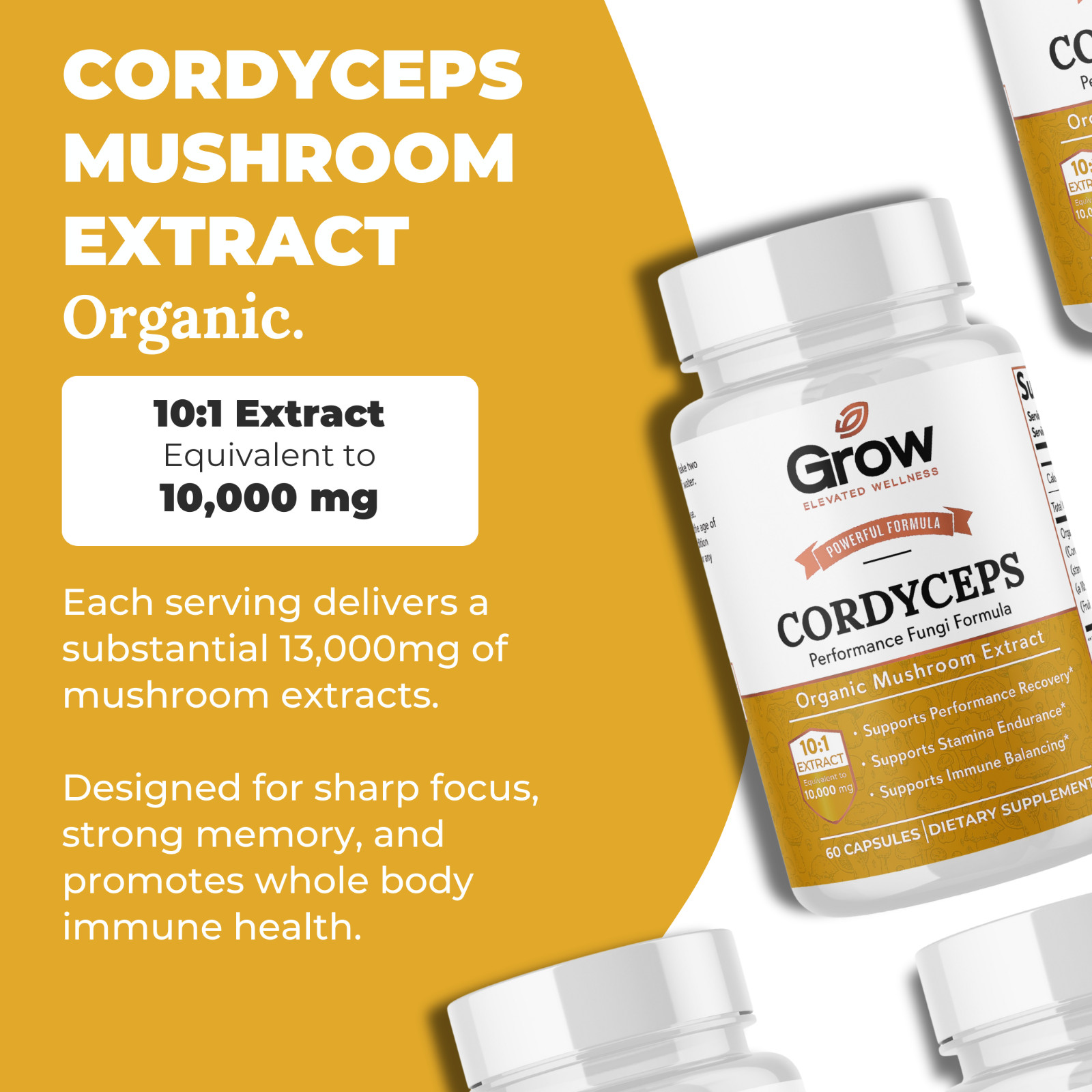 Cordyceps Mushroom Extract Capsules – 10:1 Concentrated Formula – 60 Capsules