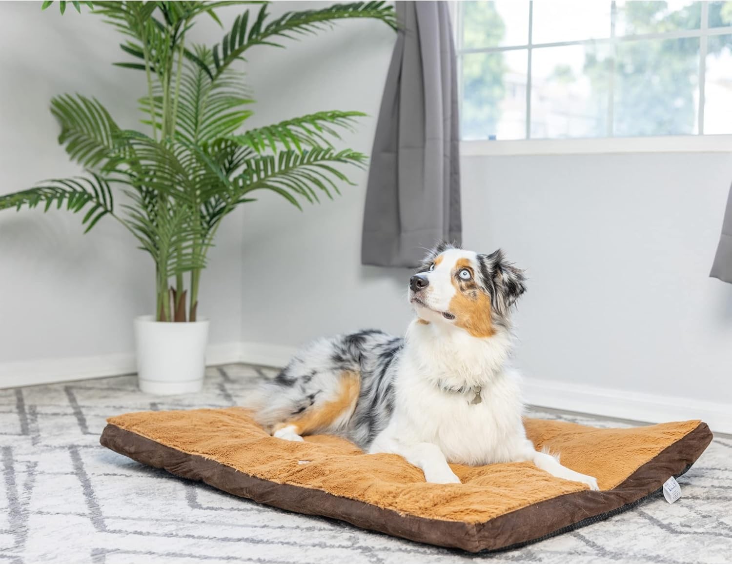 Armarkat Brown Pet Bed,39-Inch by 28-Inch by 5-Inch