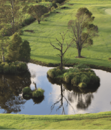 a pond surrounded by grass and trees